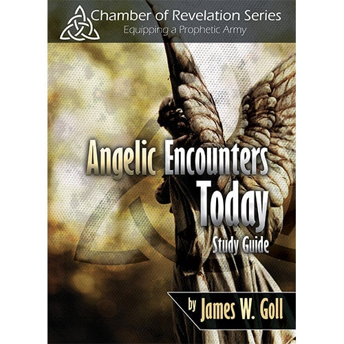 Angelic Encounters Today Study Guide (Digital Download)